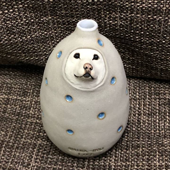 2a255b43 edce 41b8 ab71 d52ff6f4c8c2 1628671365387