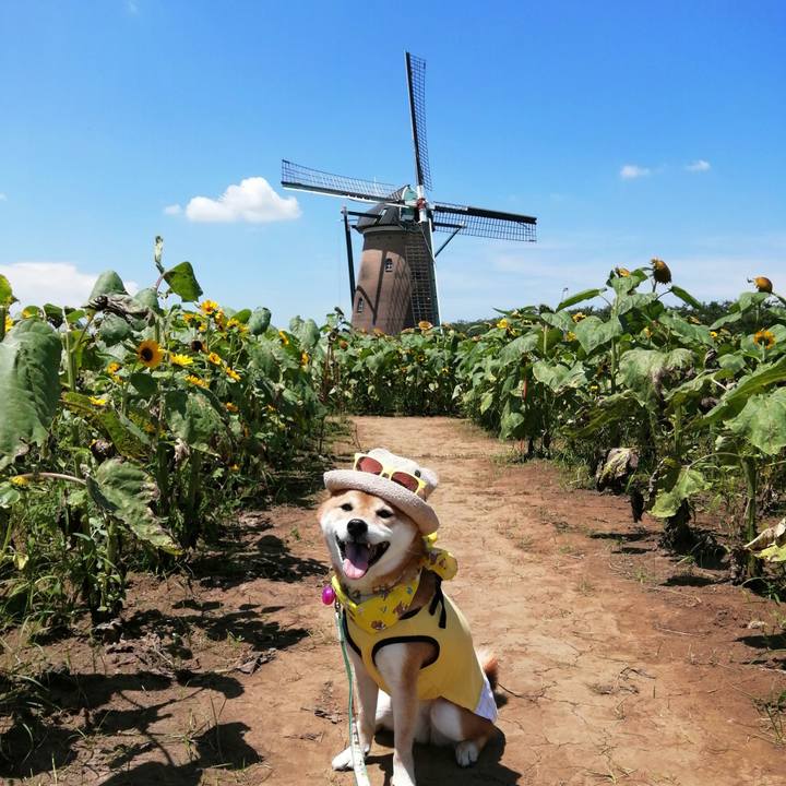 2a258929 5dea 4543 9de2 c083e52f893d 1626864261826