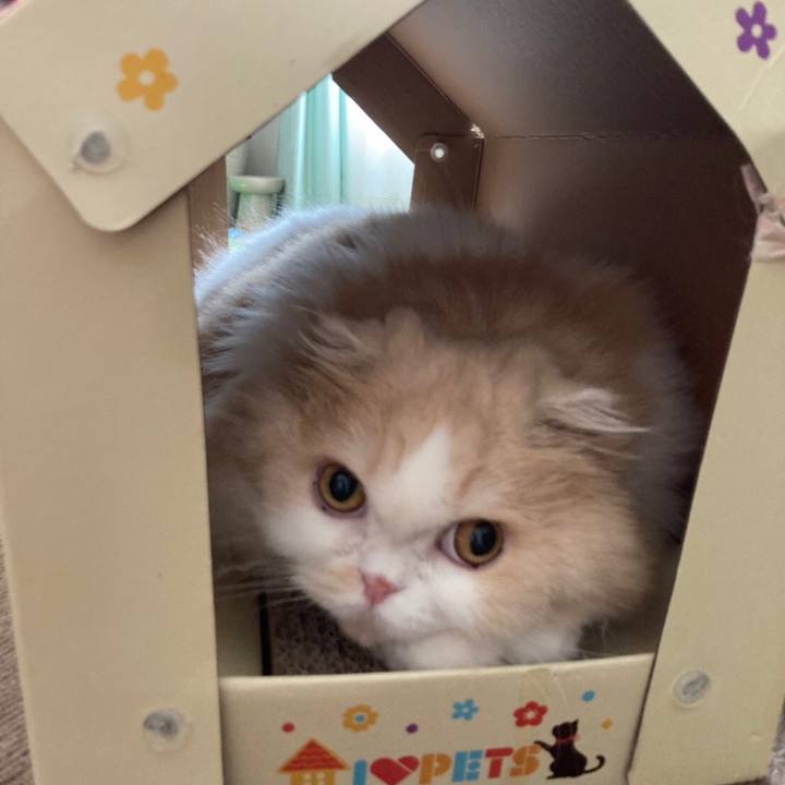 2a259af4 3357 4a92 a073 d91c347298aa 1624322546303