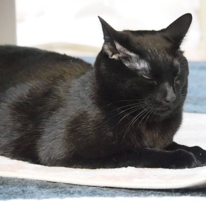 2a260d0a b874 4c19 afaa 32c278255c27 1547611002698