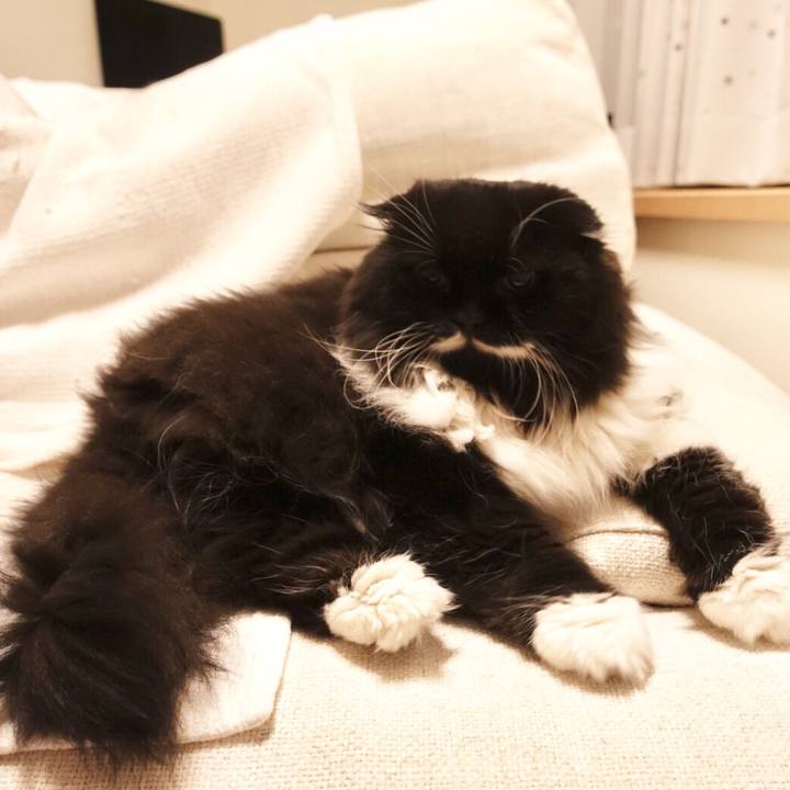 2a260fc4 0811 4b57 8b26 08066737d18c 1522200353131