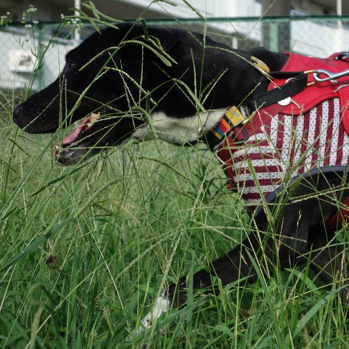 2a2635b8 8b3b 43f2 b1cf a8d0b3b61a6b 1599176676101