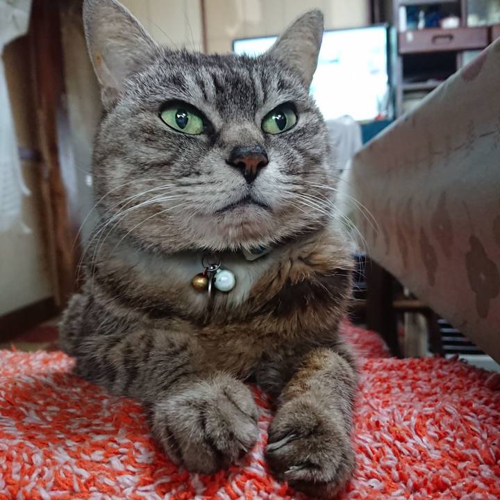 2a2637af 42b1 4724 90a7 3d798bbf722a 1558475152059