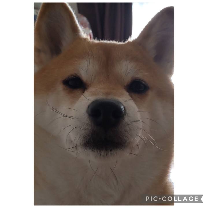 2a265cdc fb75 48e5 bb55 6461d292429d 1768188249973