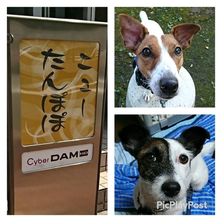 2a267545 3cc9 4518 9f96 05b9ebc0c13e 1533106906516