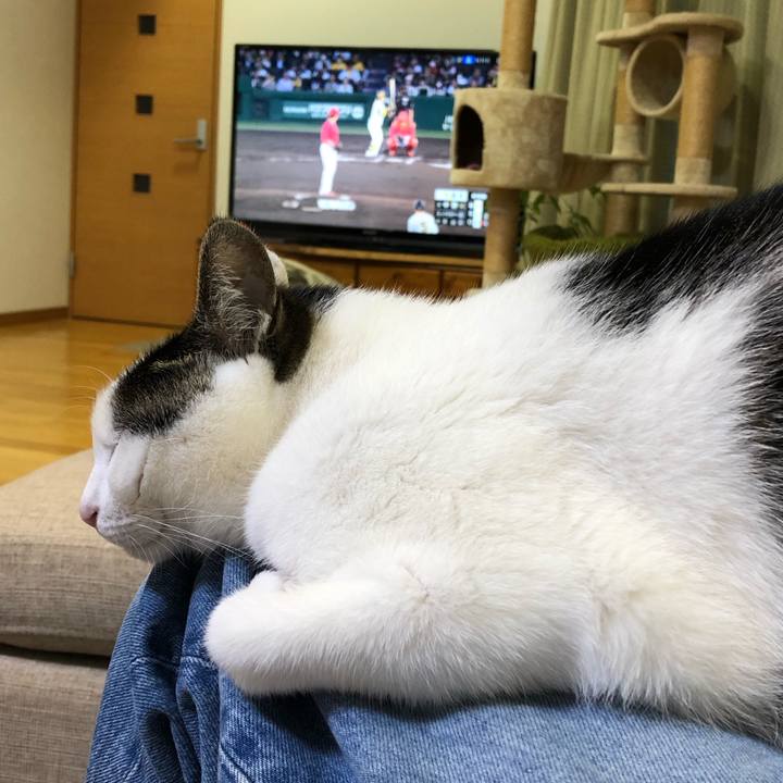 2a267a6a 52c6 4983 a8f2 9a964319d2db 1715162195203