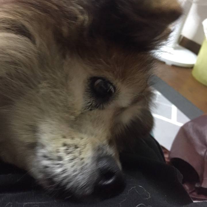 2a26a24d 2fbc 42c5 bb8e 6820f1438da8 1594681347568