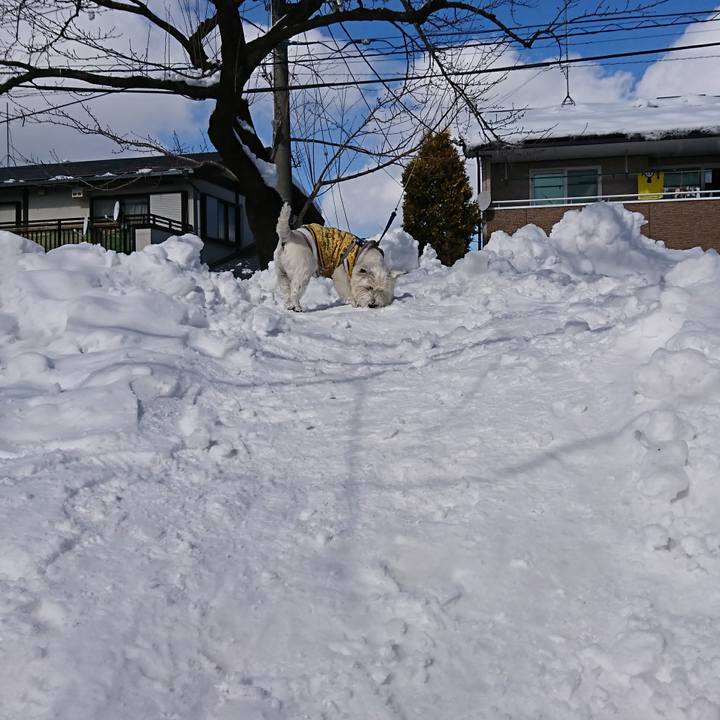 2a26a7c9 19d3 48a1 bc2e 5cdecf3bece4 1518944940071