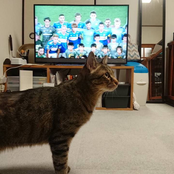 2a26f8e5 1b73 4c6a 9f9f 752b2f355c7b 1564224806734