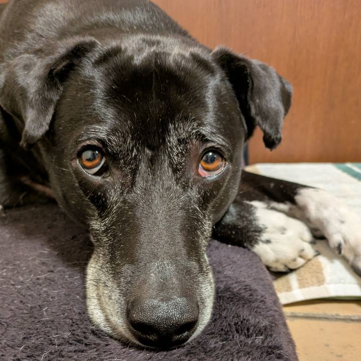 2a270b95 504a 4445 8b66 e331c130cc5d 1742119549568