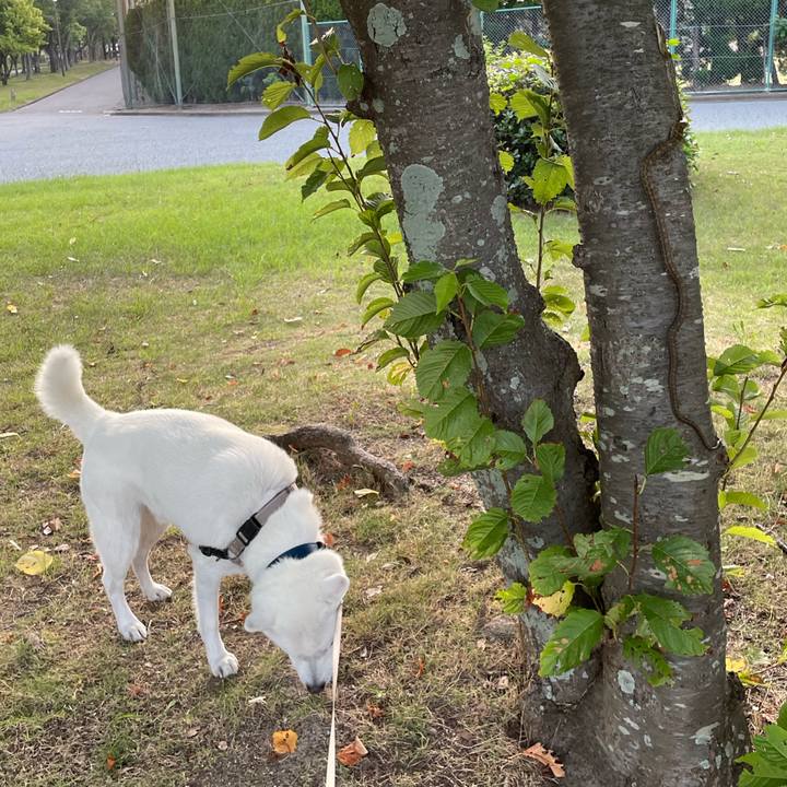 2a270e3c d0cd 40d0 843b b290b03f97cf 1723174389512