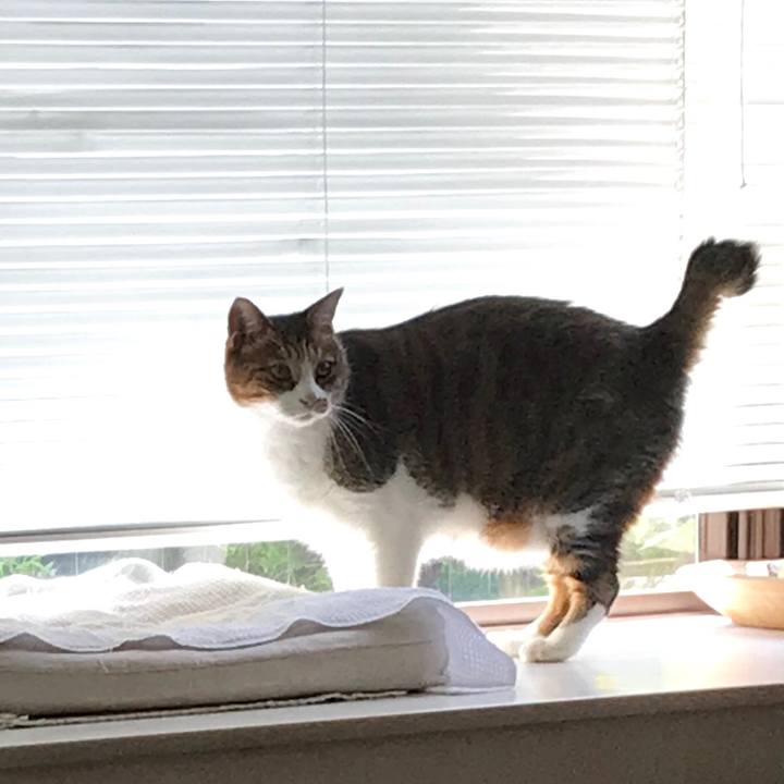 2a2746f7 9664 4c6c ac77 46bc56b5d0ff 1567068093864