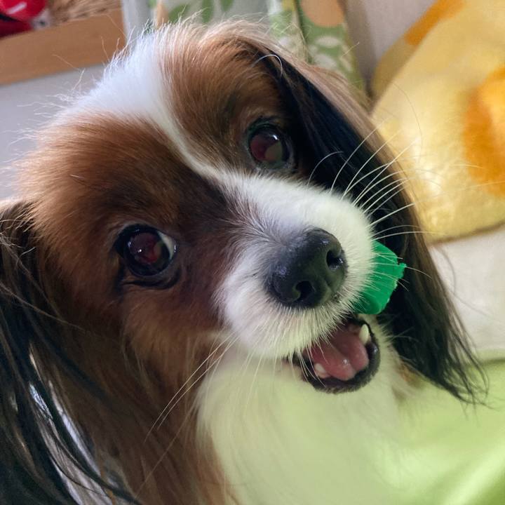 2a276983 12e0 43e0 bec4 334e2808d262 1641280850175