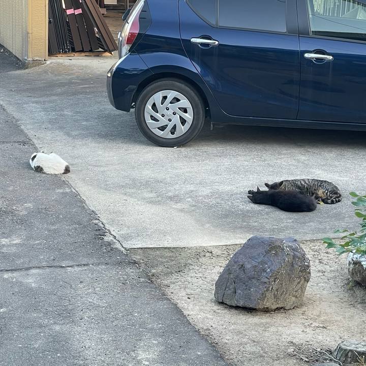 2a276b0d a7e9 44fc 936a 34c1c7f52a47 1715418643238