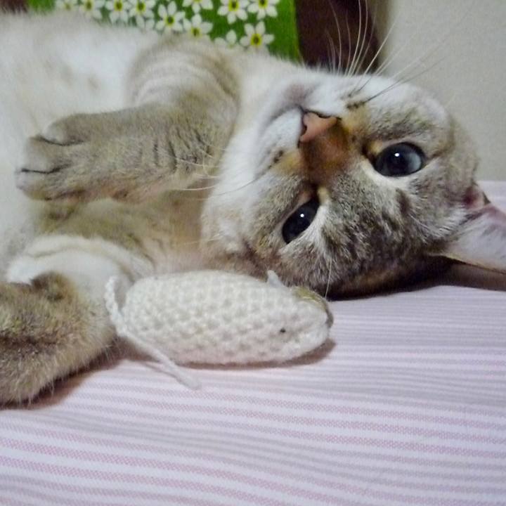 2a27910b 2df0 4679 9e47 798a780ff1dc 1618576359709