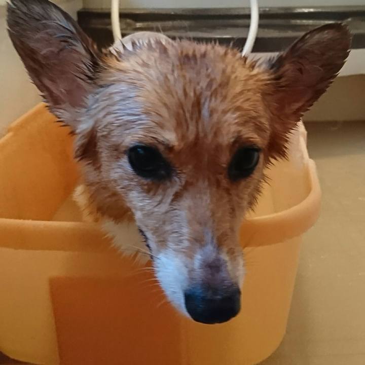 2a27a7f0 1b54 4028 82cb 92524455e644 1534328966663