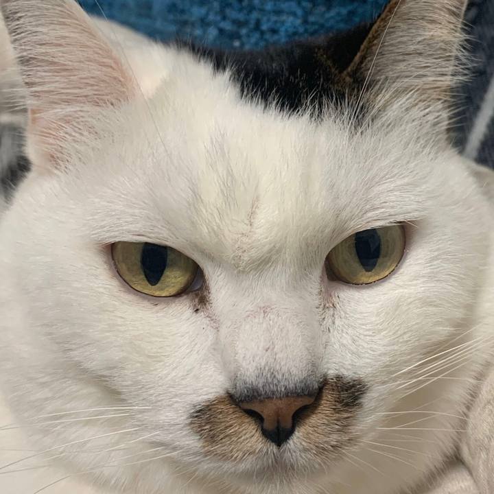 2a27ba93 7a34 4be8 920a 43fe5ea9d015 1579828973858