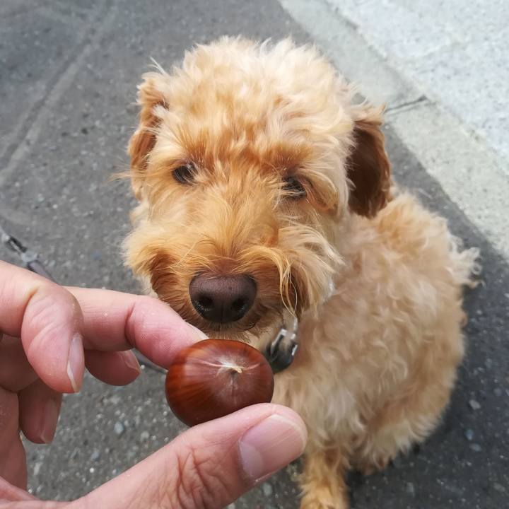 2a283aa7 f7b5 434a 85cb b1eb621ad805 1537602140091