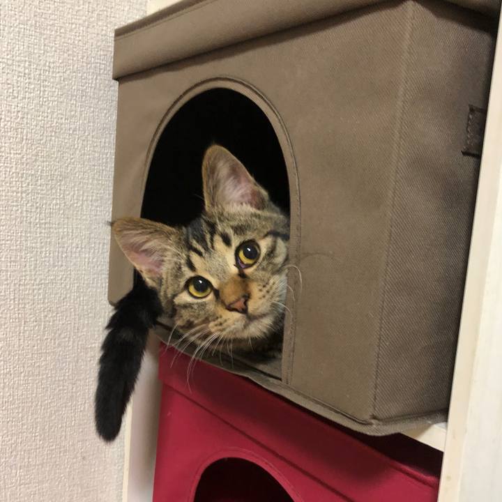 2a2856e5 d497 460f a86a 6a33e92ef375 1736243094894