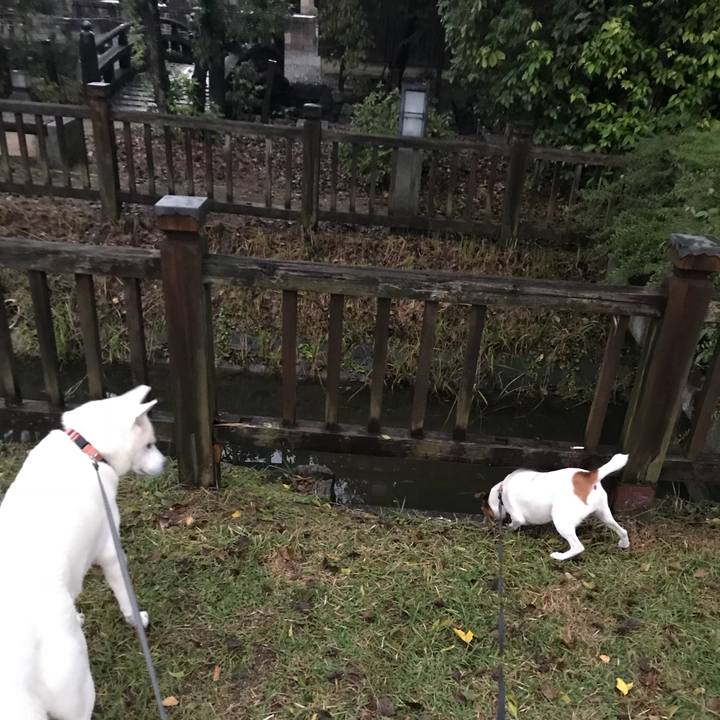 2a288718 946b 4df7 bb78 5507f7dac96c 1509272402718