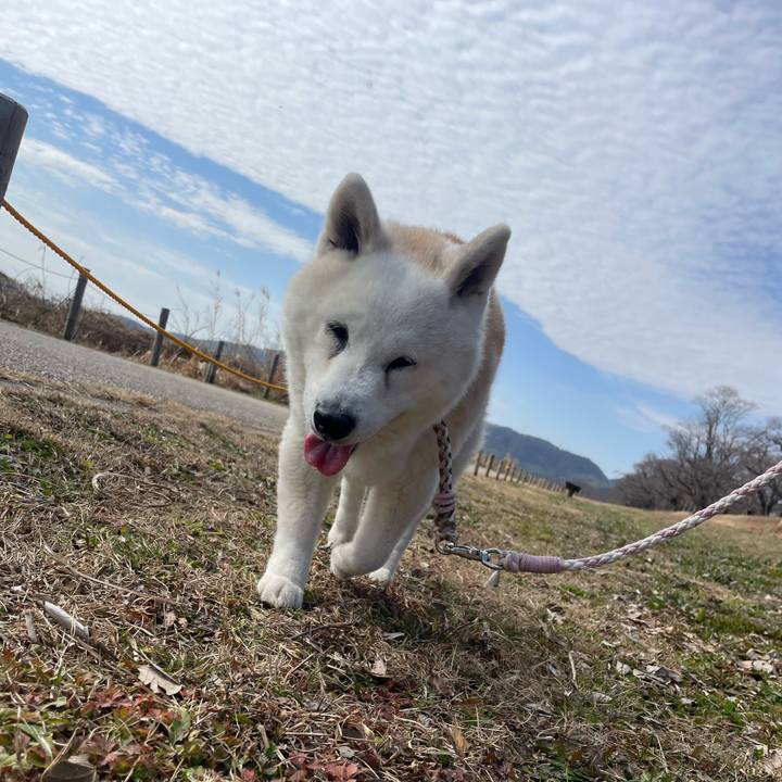 2a288efb b21b 41d9 8941 6d9885d09301 1739871835577