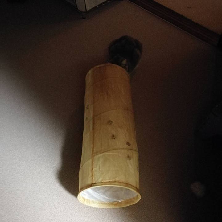 2a289413 2da0 4af7 9c5c 240827a6b962 1541977386384