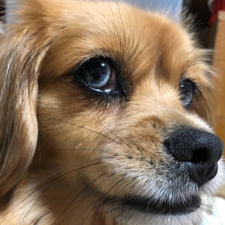 2a28a303 dc70 48fd bb1f 7b4aa29f779d 1561803754904