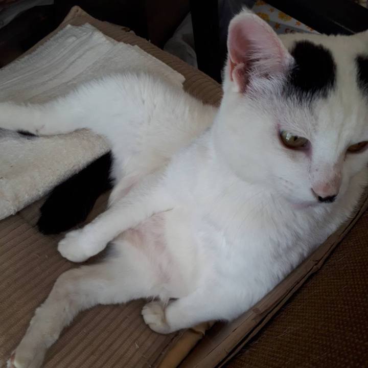 2a28c2f3 59b8 4ae5 bc62 69627a7605e1 1614924187485