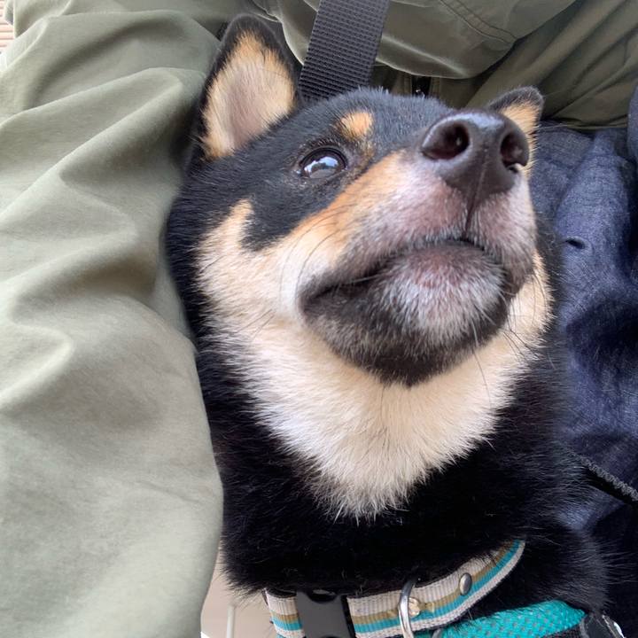 2a28c469 584e 4100 9d2a 27193ebdd03c 1631262662069