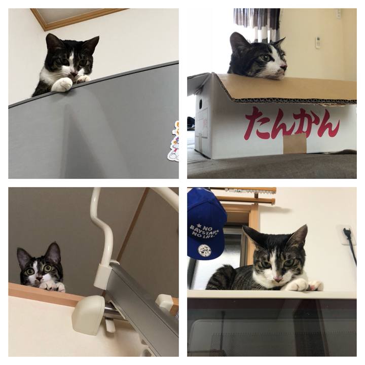 2a28d81e 7b16 464e 9ffa 1cfe0e34e13c 1531575827035