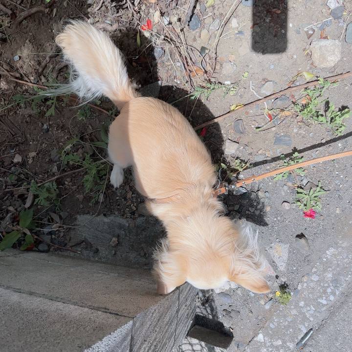 2a28f604 2e84 4e9c 9a1b 7fc5eec07472 1713520802569