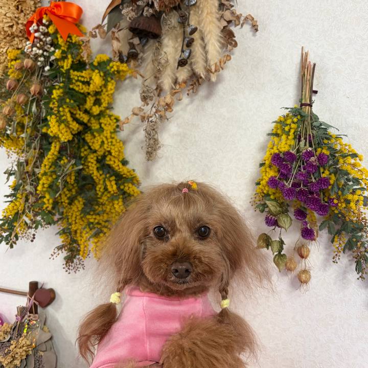 2a28f60b 72c9 4f58 9d78 ce0fb6a02f80 1772244612859