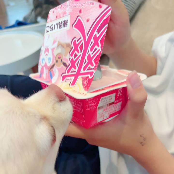 2a29b0b6 64e7 44a5 b5b4 989a135f174f 1687859626235