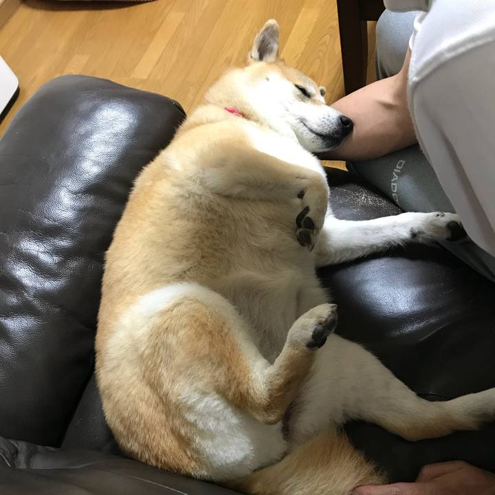 2a29b676 133d 4aa5 8c85 5dd75369a1cc 1527569084307