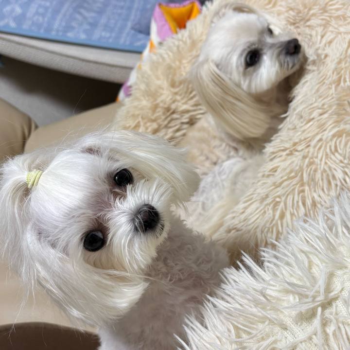 2a29e26b 9cea 4a4f a197 63458943d0ed 1760005739925