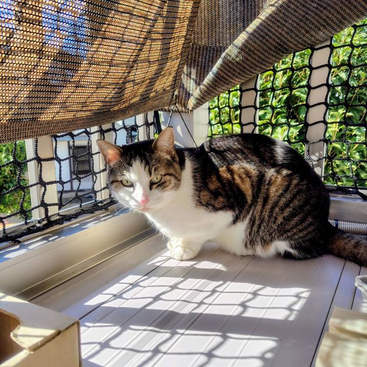 2a29fd5d c633 4510 9c67 7ec95bdb7d4c 1768197989043