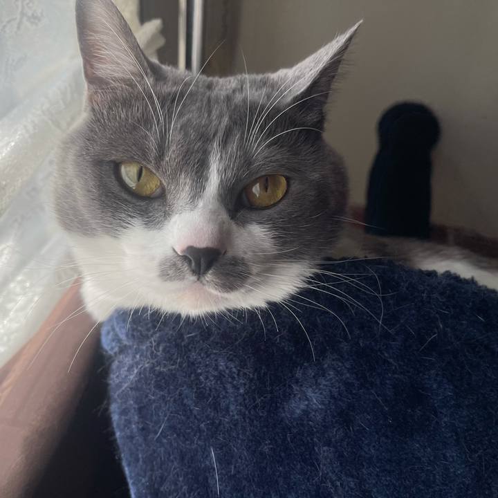 2a2a5651 0922 43a7 ba9e 8e5c1721d1be 1645658829063