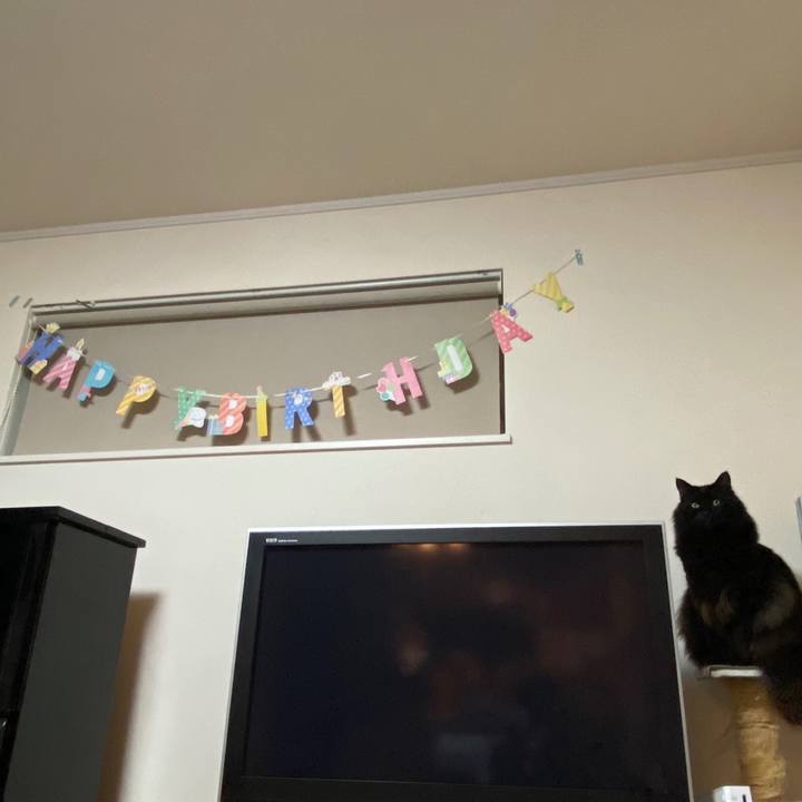 2a2a58ab 6604 49fd 81ff abb85c7f3805 1612843630359