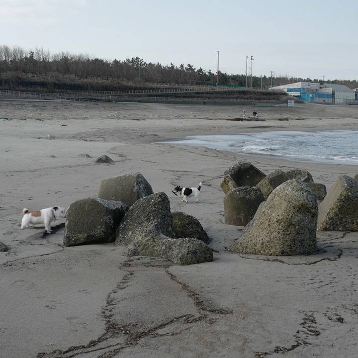 2a2a6231 ef63 41b9 8ce7 cb43c8a78e1c 1520744943617