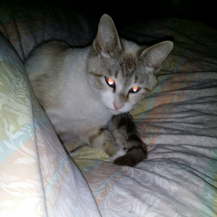 2a2a76bc d323 470f 8bce f444d28c2fa0 1524843471022