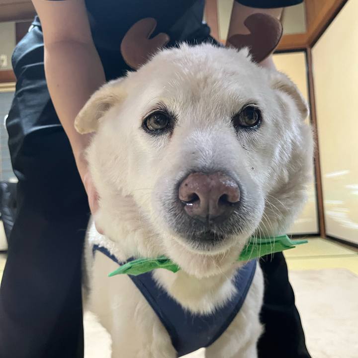 2a2aa2bf 59b2 44a4 9517 1d06522f8501 1766618574573