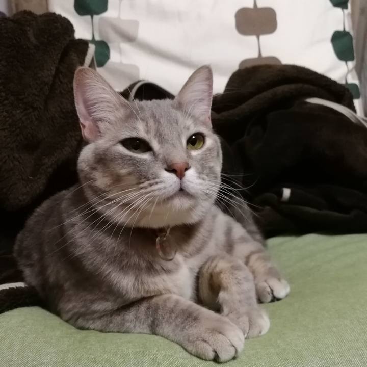 2a2aa7bf ed13 4d7e 88ad 6a333b29fc24 1516100010710