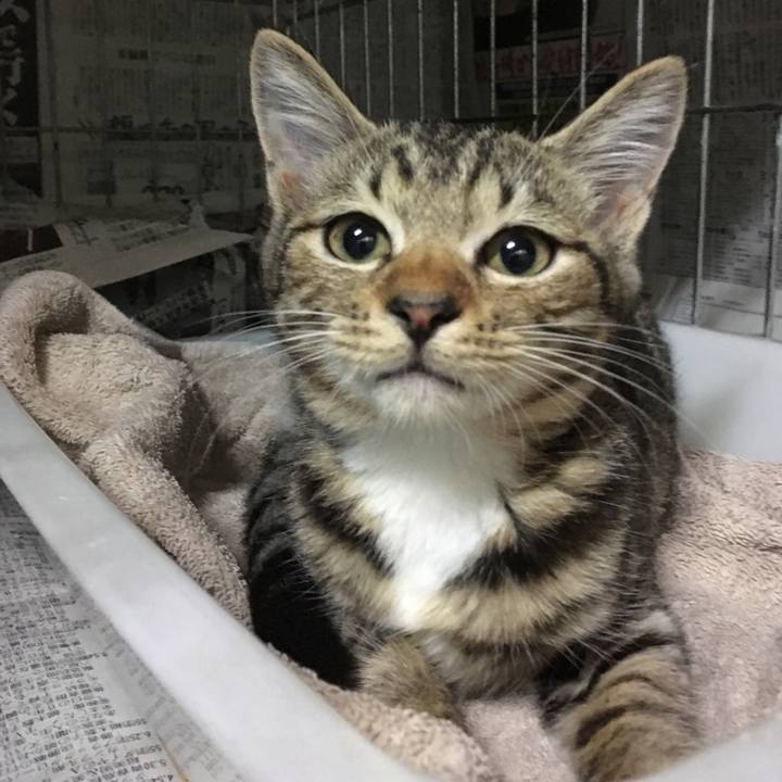 2a2b109e 0ee9 4776 8139 9d176e1fb2d4 1563182446785