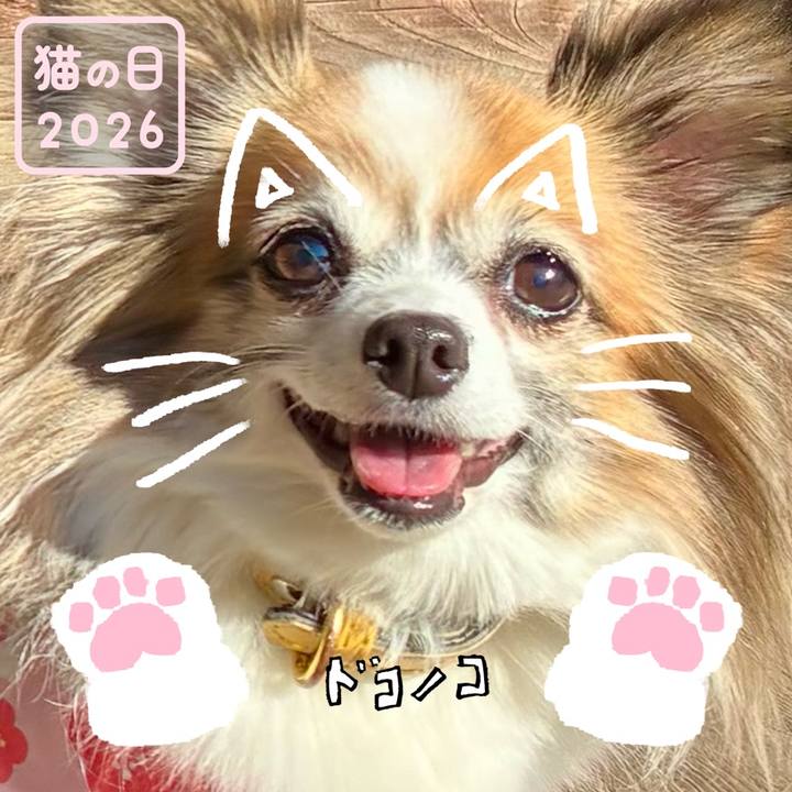 2a2b64ae 9da3 4f7e 93c5 bc9fffffcaeb 1771715668294