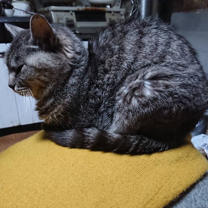 2a2b6757 9844 4b22 9d84 57b8e5aee95b 1572812358990