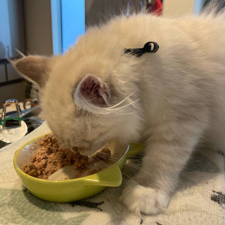 2a2b743b 6e40 47cd 82ae 50831a7bf027 1667105372206