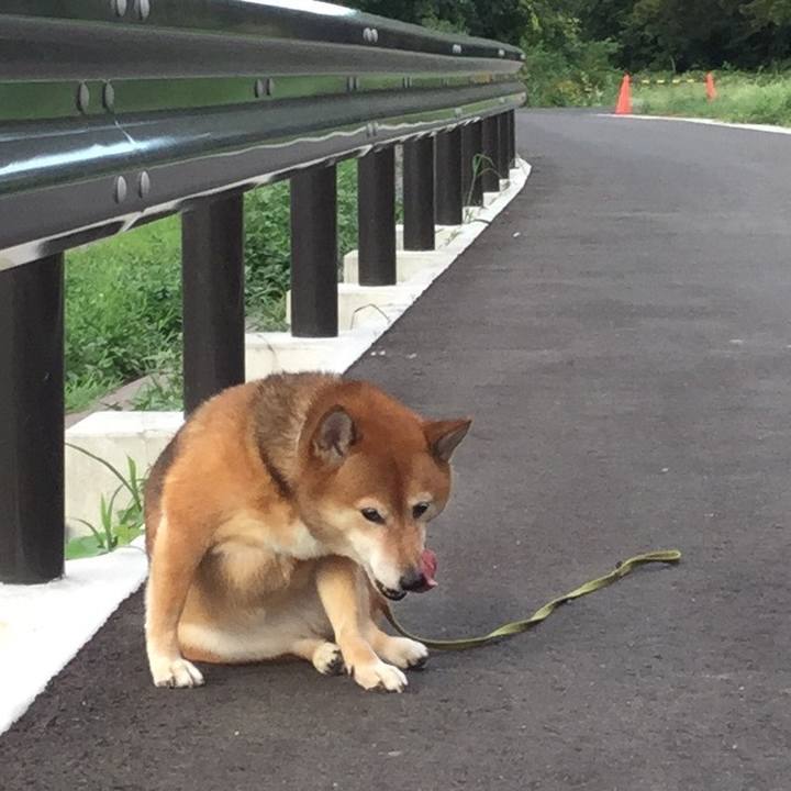 2a2bbc58 ba59 43bb ab95 cf6c738ad073 1565686114943