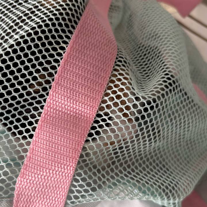 2a2bcd1e d080 4791 bf13 502966146b08 1763362112058