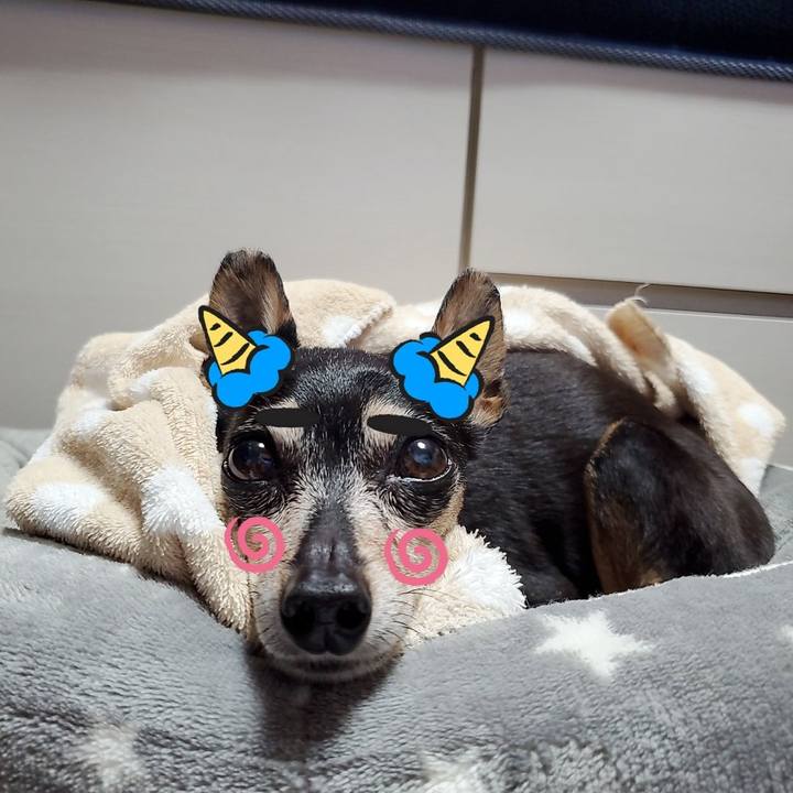 2a2bf062 04ab 433c 9c24 fd2652a96edf 1675422916535