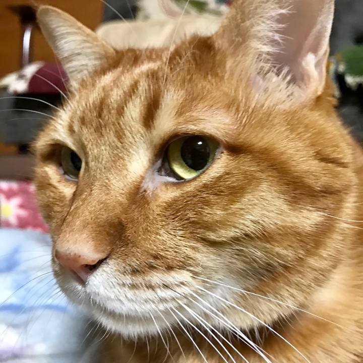 2a2c50ed a026 449d bbf8 d99e2c7797d7 1550926060122